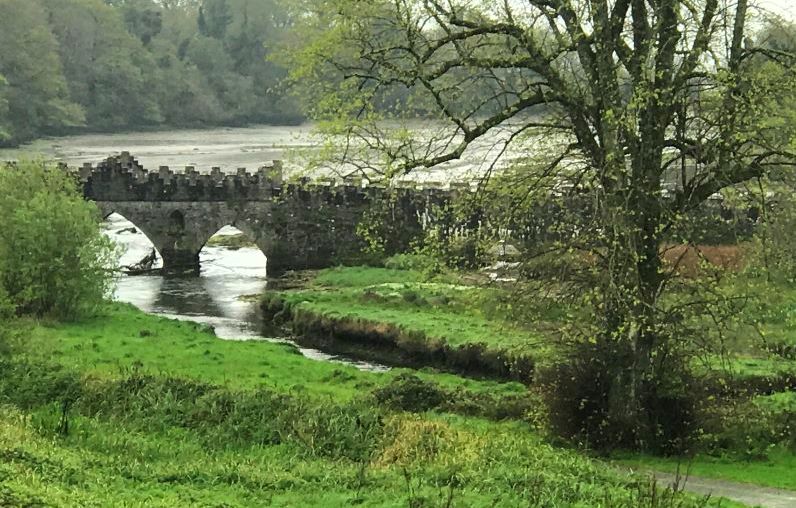 Enjoy the picturesque views from Tintern Abbey, Ireland