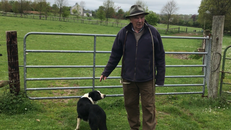 Joe O'Conner proudly displays his dog's shepherding skills.