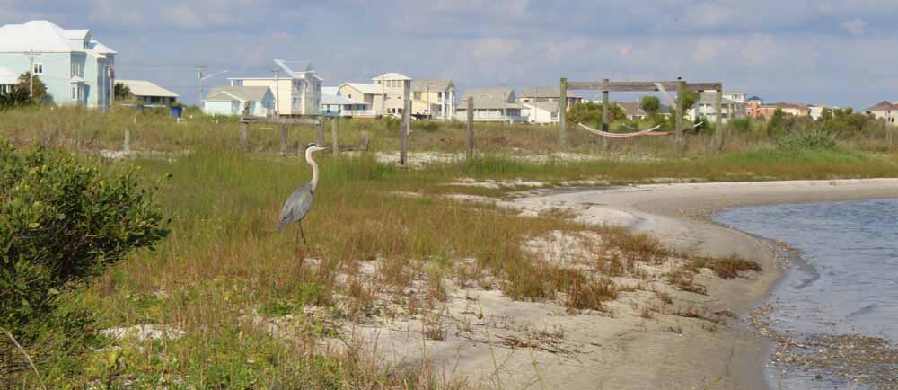 Little Lagoon on the west beach of Gulf Shores 