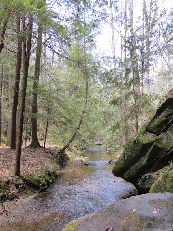 Hike Alabama's Dismals Canyon and Visit Rattlesnake Saloon - Grans On ...