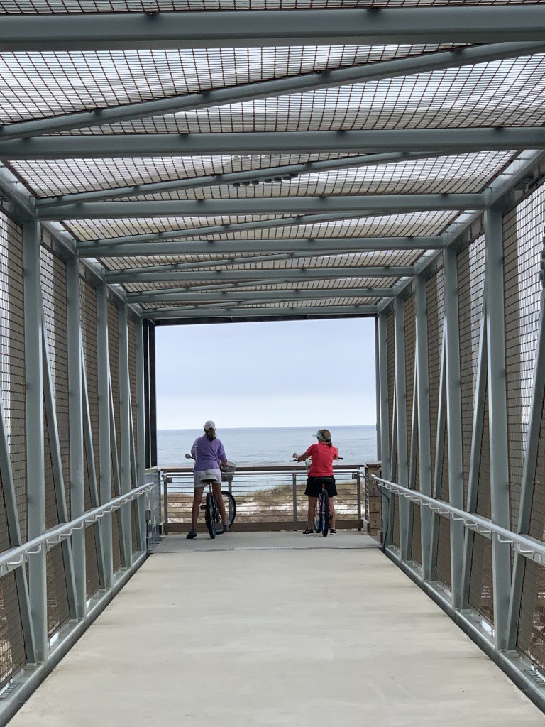 Backcountry Trail at the Best Alabama Beaches